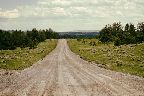 Bozeman, mt, Pflanze, Baum, der Weg nach vorn, Richtung, Straße, Transport, Himmel, Szenen - Natur, Umgebung, Land, ruhige Szene, Natur, Landschaft, wolke - himmel, Nicht-städtische Szene, Schönheit in der Natur, Ruhe, abnehmende Perspektive, keine Leute, Wachstum, draußen, 5K, CC0, gemeinfrei, lizenzfrei