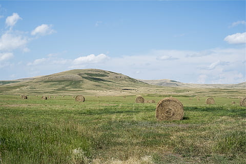 heno, pacas, hierba, campos, rural, país, azul, cielo, paisaje, tierra, ambiente, campo, paisajes - naturaleza, escena tranquila, planta, belleza en la naturaleza, nube - cielo, tranquilidad, naturaleza, agricultura, bala, día, escena rural, nadie, horizonte, horizonte sobre tierra, al aire libre, 1080P, CC0, dominio público, libre de derechos