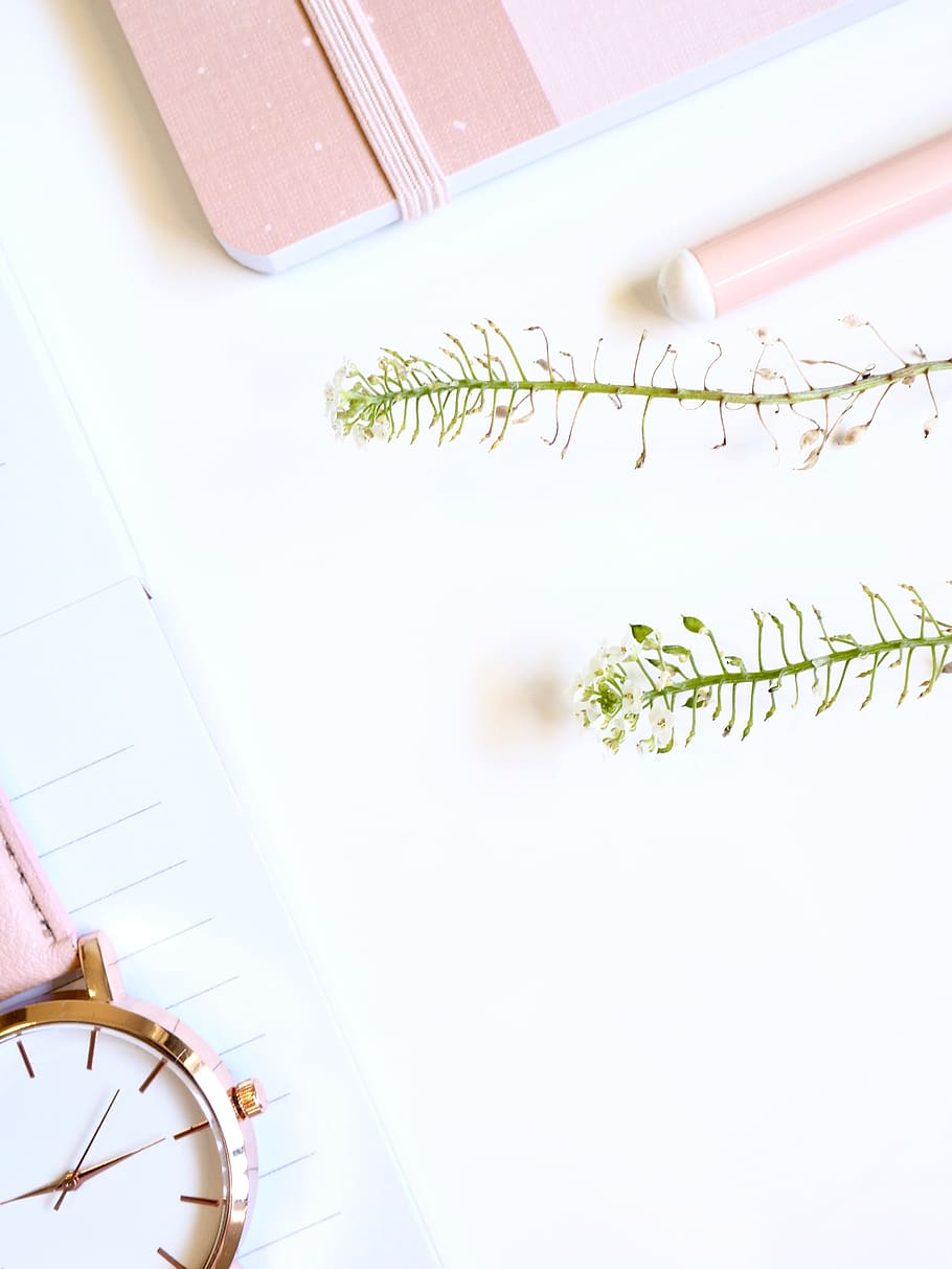 escriure, espai blanc, flatlay, negocis, femení, rosa, simple, mínim, veure, autocura, bloc, revista, paper, porpra, bolígraf, oficina, taula, blanc, lloc de treball, netejar, obert, estacionari, planta, a l'interior, naturalesa, color verd, cap gent, creixement, vista d’angle alt, full, Color blanc, primer pla, part de la planta, bellesa a la natura, flor, arbre, llibre, transparent, publicació, natura morta, 4K