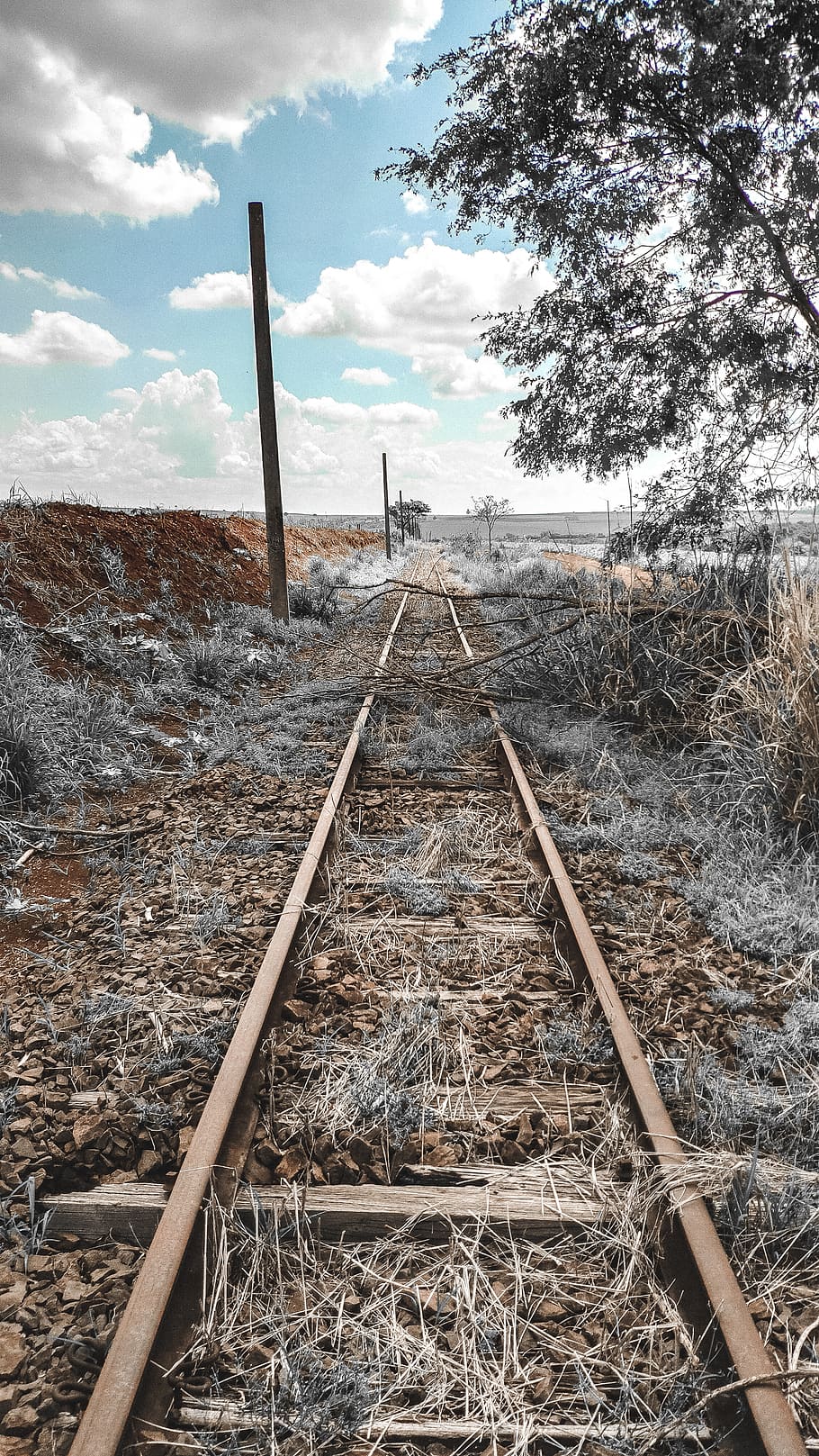 treno ferroviario, rotaie, rotaia, ferrovia, mezzi di trasporto, strada, ghiaia, strada sterrata, strada senza nome, brasile, Ibirarema, terra, ruggine, macerie, roccia, costruzione, tunnel, fionda, sentiero, passerella, suolo, traccia, cielo, trasporto ferroviario, pianta, natura, nessuno, la strada davanti, albero, direzione, giorno, nuvola - cielo, legno - materiale, campo, all'aperto, la tranquillità, prospettiva decrescente, scena non urbana, 2K