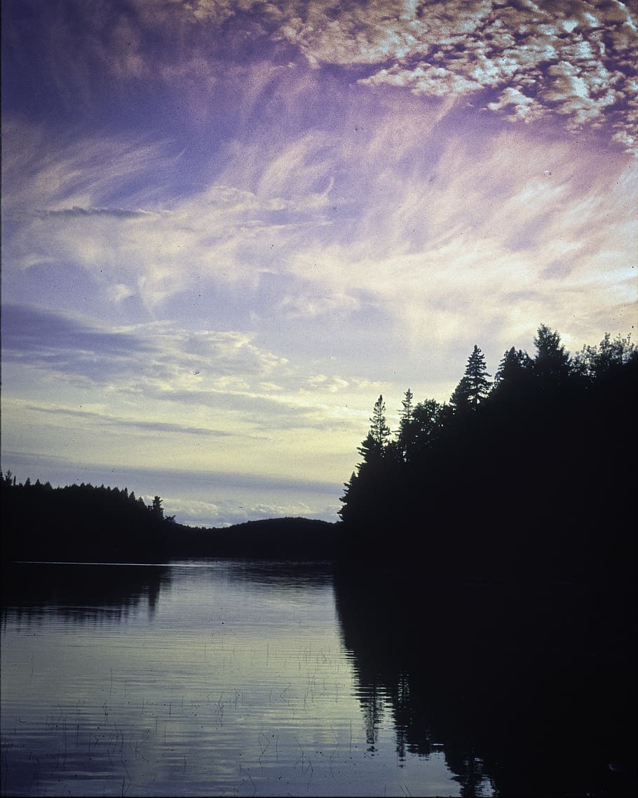 parc algonquin, parc, pi, pins, bosc de pins, llac, nord, algonquin, cel gran, campament, vacances, naturalesa, bosc, silvicultura, cel, arbre, reflexió, aigua, tranquil·litat, planta, núvol - cel, bellesa a la natura, escena tranquil·la, escenics - natura, silueta, davant del mar, cap gent, posta de sol, escena no urbana, idíl·lic, creixement, 4K