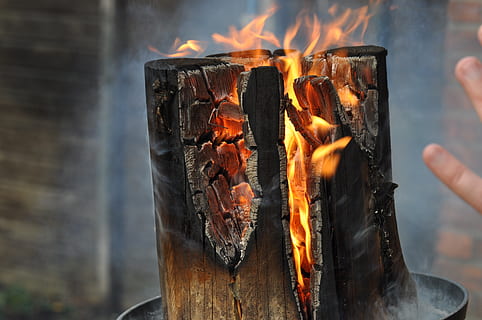 fire, heat, flame, light source, non, torch, tree, swedish, burning, fire - natural phenomenon, heat - temperature, hand, human hand, log, close-up, wood - material, nature, human body part, focus on foreground, wood, firewood, outdoors, real people, day, one person, holding, finger, bonfire, 4K, CC0, public domain, royalty free
