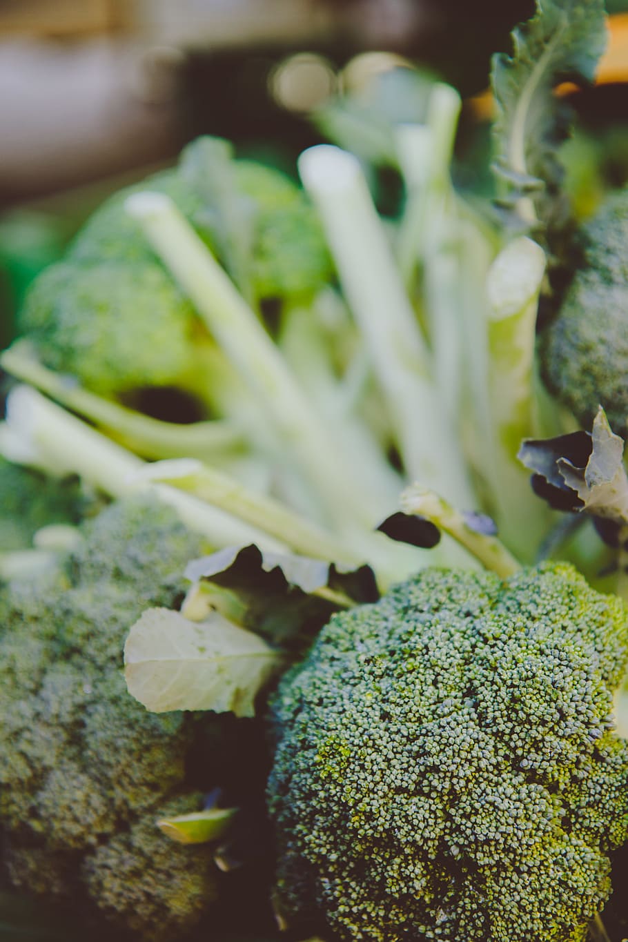 selettivo, fotografia a fuoco, broccoli, freschezza, foglia, verdure, colore verde, avvicinamento, verdura, cibo e bevande, cibo, nessuno, messa a fuoco selettiva, mangiare sano, benessere, natura morta, pianta, giorno, crescita, asparago, verde, bellezza nella natura, in casa, concentrarsi sulle conoscenze acquisite, natura, 5K