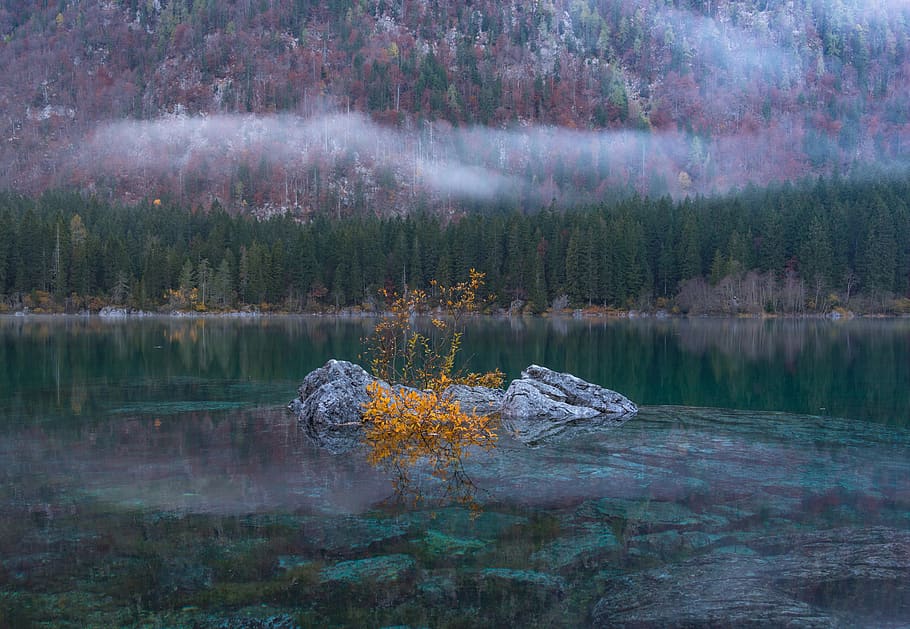 Natur, Landschaft, Berg, Bäume, Nebel, Fluss, See, Herbst, fallen, Baum, Wasser, Pflanze, Szenen - Natur, Schönheit in der Natur, ruhige Szene, Reflexion, Wald, Ruhe, Wachstum, Nicht-städtische Szene, Ufergegend, keine Leute, Tag, Land, idyllisch, draußen, Reflexionssee, 5K