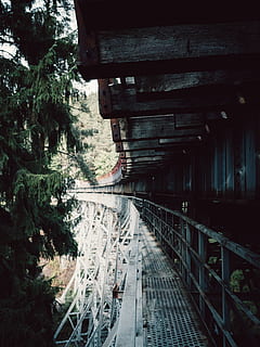 close-up photography, metal bridge, bridge, construction, dark, forest, guidance, light, public transportation, railway platform, railway station, road, rusty, steel, train, train station, transportation system, tree, trees, tunnel, transportation, architecture, built structure, no people, nature, rail transportation, day, track, plant, railroad track, outdoors, bridge - man made structure, the way forward, connection, direction, railing, travel, long, 4K, CC0, public domain, royalty free