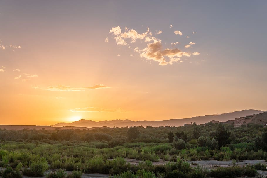 gespa verda, marroquí, kalaat m'gouna, sortida del sol, cel, cel vermell, alba, posta de sol, a l'aire lliure, naturalesa, vespre, pastures, camp, paisatge, flora, herba, planta, bellesa a la natura, escenics - natura, medi ambient, tranquil·litat, escena tranquil·la, muntanya, arbre, cap gent, escena no urbana, idíl·lic, color taronja, núvol - cel, sol, terra, creixement, 4K