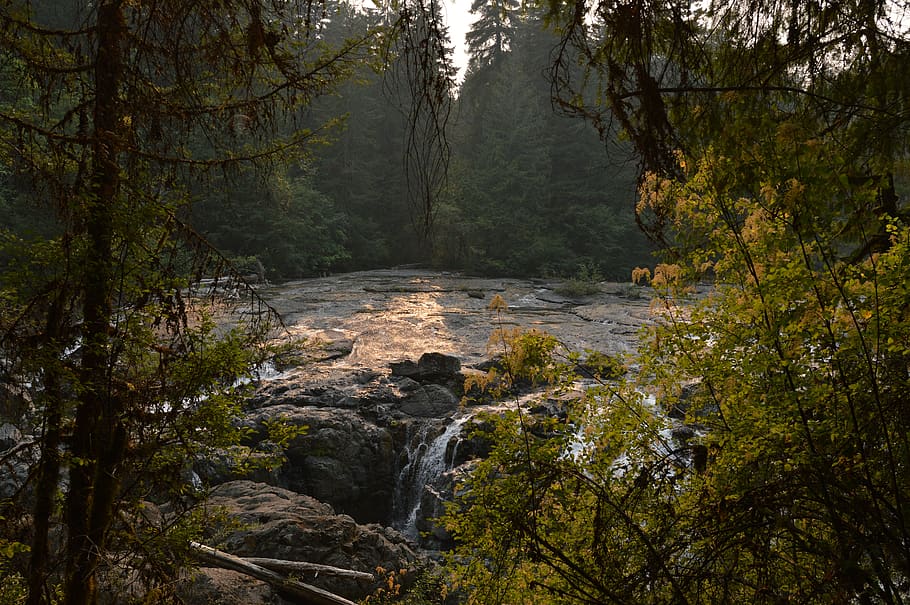 alberi, fiume, cascata, tramonto, estate, natura, bellissimo, creativo, scenario, foresta, esplorando, Canada, vancouver, viaggio, albero, pianta, bellezza nella natura, terra, acqua, scenics - natura, la tranquillità, nessuno, roccia, acqua corrente, scena non urbana, crescita, solido, roccia - oggetto, scena tranquilla, giorno, all'aperto, fluente, bosco, flusso - acqua che scorre, 5K