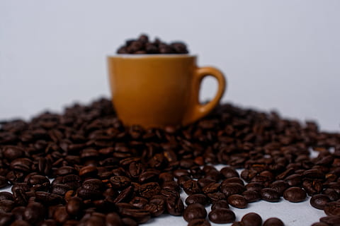 Marrone, boccale, pieno, chicchi di caffè, aroma, aromatico, fagioli, sfondo sfocato, caffeina, avvicinamento, Chicco di caffe, colture, tazza, buio, chicchi di caffè tostato, semi, caffè - bevanda, caffè, chicco di caffè tostato, cibo e bevande, bere, rinfresco, tazza di caffè, cibo, bevanda calda, nessuno, in casa, natura morta, bar, messa a fuoco selettiva, freschezza, latte macchiato, vasellame, 5K, CC0, dominio pubblico, privo di copyright