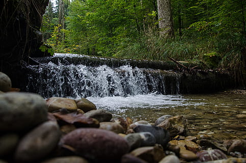 waterfall, small, stream, river, water, drops, stones, forest, tree, flowing water, plant, beauty in nature, motion, long exposure, land, rock, nature, solid, scenics - nature, blurred motion, flowing, day, rock - object, no people, outdoors, stream - flowing water, power in nature, rainforest, 4K, CC0, public domain, royalty free