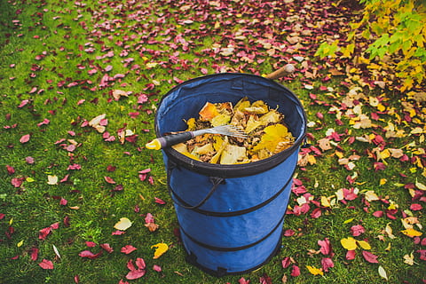 Blatt, Garten, fallen, Gartenarbeit, Blätter aufheben, Jahreszeit, Farbe, Umgebung, High Angle View, Pflanze, Natur, Herbst, Pflanzenteil, Land, Tag, Frische, draußen, Feld, Veränderung, keine Leute, Blätter, Wachstum, blühende Pflanze, Blume, Schönheit in der Natur, Container, Gras, Ahornblatt, 5K, CC0, gemeinfrei, lizenzfrei