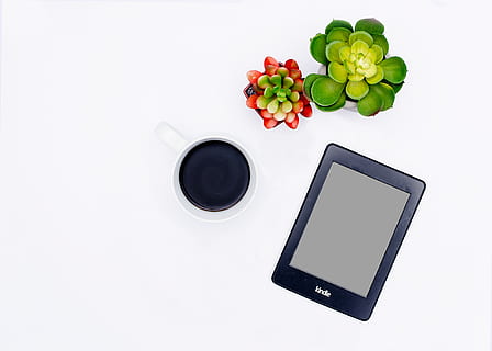 tavoletta nera, caffè, tazza di caffè, scrivania, dispositivo, elettronica, flatlay, accendere, portatile, piante in vaso, piante succulente, succulente, cibo e bevande, copia spazio, cibo, tecnologia wireless, freschezza, benessere, connessione, mangiare sano, tecnologia, comunicazione, nessuno, in casa, natura morta, frutta, vista dall'alto, girato in studio, tavoletta digitale, verdura, computer, colore verde, 4K, CC0, dominio pubblico, privo di copyright