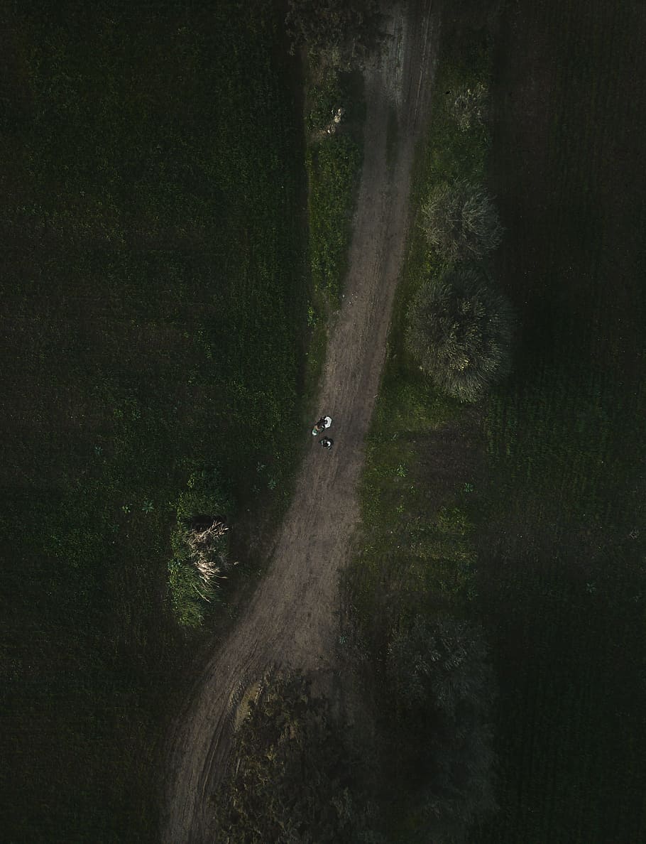 gris, carretera, verd, fulles, arbres, herba, carrer, Camí, bosc, De dalt a baix, vista del drone, explorant, djimavic, mavicpro, dji, caminar, camp, explorar, hivern, fang, a través, naturalesa, vista aèria, color verd, a l'aire lliure, arbre, paisatge, escenics, medi ambient, transport, estiu, escena rural, terra, cap gent, 2K