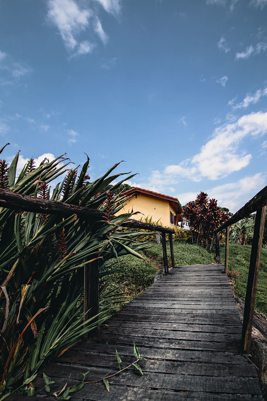 foto, moll, al costat, planta, núvols, la llum del dia, medi ambient, jardí, herba, creixement, orientació, paisatge, tir en angle baix, naturalesa, camí, plantes, carretera, escènic, cel, estiu, arbre, fusta, el camí a seguir, núvol - cel, direcció, material de fusta, sendera, arquitectura, dia, estructura construïda, cap gent, bellesa a la natura, a l'aire lliure, barana, tranquil·litat, terra, passeig marítim, 5K