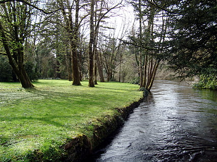 řeka, les, stromy, tráva, kapuce, strom, rostlina, klid, krása v přírodě, růst, voda, Příroda, nikdo, zelená barva, klidné scény, scenics - příroda, přistát, den, větev, mimoměstské scény, venku, životní prostředí, tekoucí, tekoucí voda, 1080P, CC0, veřejná doména, bez autorských práv