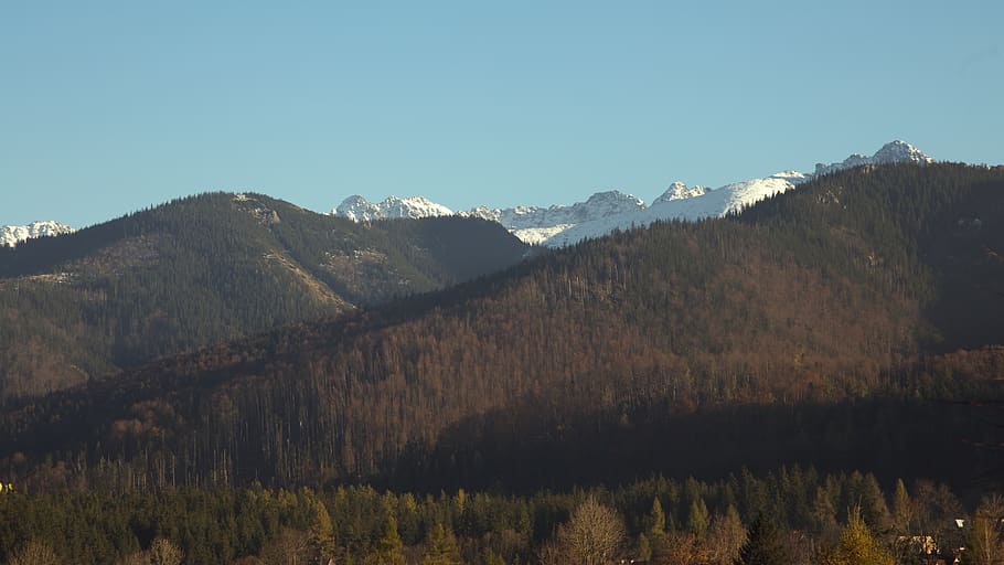 muntanya i cel, Serra, naturalesa, a l'aire lliure, muntanya, planta, arbre, avet, abies, pendent, conífera, pic, camp, altiplà, edifici, habitatge, làrix, herba, manera, carretera, cel, escenics - natura, bellesa a la natura, tranquil·litat, escena tranquil·la, cap gent, cel clar, bosc, medi ambient, paisatge, terra, dia, escena no urbana, còpia espai, pi, arbre de coníferes, bosc de pi, muntanya nevada, 4K