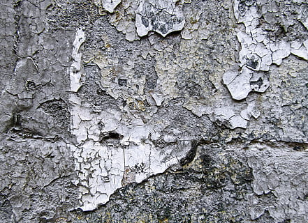 grå veggen, anlegg, tre, trestamme, stein, tekstur, bakke, blad, betong, asfalt, gran, abies, alger, kalkstein, ord, eik, bjørk, insekt, virvelløse, dyr, strukturert, bakgrunn, full ramme, forvitret, ujevn, ingen folk, nærbilde, stamme, dag, gammel, mønster, veggbyggingsfunksjon, bygget struktur, utendørs, plantebark, arkitektur, skadet, skrelle av, natur, teksturert effekt, forverring, lichen, ødelagt, 2K, CC0, offentlig domene, opphavsrett gratis