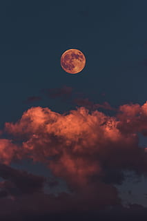 cheio, lua, nuvens, céu, nuvem, lua de sangue, eclipse, lunar, astrofotografia, noite, tarde, vermelho, natureza, ao ar livre, lua cheia, astronomia, espaço, luar, superfície da lua, lua planetária, azul, Sombrio, nuvem - céu, crepúsculo, origens, planeta - espaço, por do sol, cloudscape, estratosfera, luz - fenômeno natural, scenics, clima, 4K, CC0, domínio público, royalty free