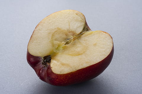 Apfel, Scheibe, eine halbe, Obst, gesund, vegan, Vitamin, Ernährung, frisch, Lebensmittel, köstlich, Vitamine, reifen, Süss, Diät, Vegetarier, organisch, saftig, Natur, Gesundheit, Küche, Pflanze, natürlich, Gewächshaus, Studioaufnahme, Essen und Trinken, gesundes Essen, Frische, Stillleben, Wohlbefinden, drinnen, Nahansicht, Apfel - Frucht, keine Leute, grauer Hintergrund, grau, weißer Hintergrund, ausgeschnitten, Kreuzung, einzelnes Objekt, Samen, reif, 4K, CC0, gemeinfrei, lizenzfrei