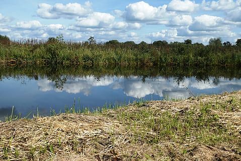 Polder, Reflexion, Hintergrund, Niederländisch, reflektieren, Gras, Wolken, blauer Himmel, Pflanze, Wasser, Ruhe, See, Schönheit in der Natur, Himmel, Szenen - Natur, ruhige Szene, Baum, wolke - himmel, Wachstum, Tag, Natur, keine Leute, Nicht-städtische Szene, Land, grüne Farbe, draußen, 2K, CC0, gemeinfrei, lizenzfrei