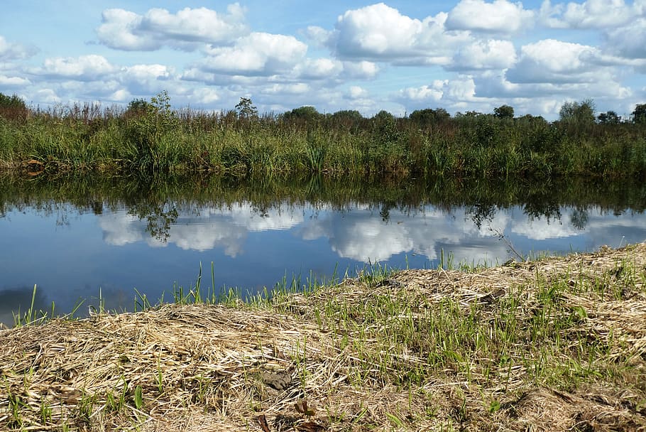 polder, reflexió, fons, holandès, reflexionar, herba, núvols, cel blau, planta, aigua, tranquil·litat, llac, bellesa a la natura, cel, escenics - natura, escena tranquil·la, arbre, núvol - cel, creixement, dia, naturalesa, cap gent, escena no urbana, terra, color verd, a l'aire lliure, 2K