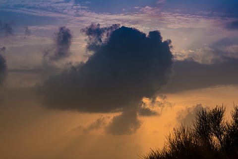 lys, skyer, træer, vinterhimmel, himmel, solnedgang, sky - himmel, skønhed i naturen, silhuet, træ, ro, scenics - natur, rolig scene, natur, plante, ingen mennesker, orange farve, lav vinkel visning, udendørs, idyllisk, ikke-urbane scene, majestætisk, skumring, 5K, CC0, offentligt domæne, royaltyfrie