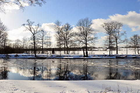brown, leafless tree, along, river, clouds, cold, day, daylight, frost, frozen, nature, park, scenic, season, snow, trees, water, weather, winter, tree, cold temperature, sky, plant, beauty in nature, lake, scenics - nature, no people, cloud - sky, bare tree, reflection, tranquility, tranquil scene, outdoors, 2K, CC0, public domain, royalty free