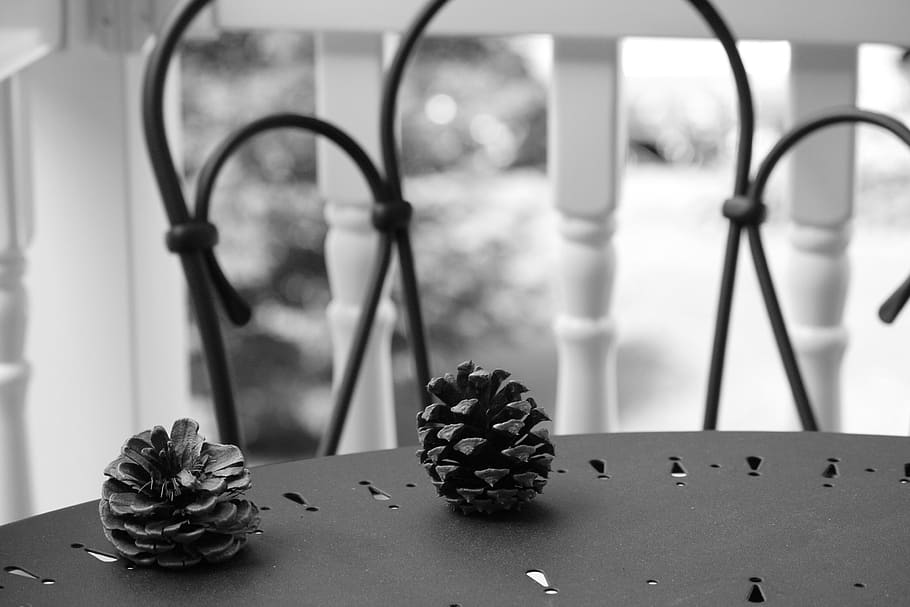 Pinecone, pinecones, ธรรมชาติ, รูปกรวย, ต้นสน, มุ่งเน้นไปที่เบื้องหน้า, ดอกไม้, ไม่มีคน, ใกล้ชิด, ตาราง, ความสด, ปลูก, ไม้ดอก, ในบ้าน, ยังมีชีวิตอยู่, อาหารและเครื่องดื่ม, วัน, อาหาร, ความบอบบาง, โลหะ, ความอ่อนแอ, ใบไม้, ความงามในธรรมชาติ, 2K