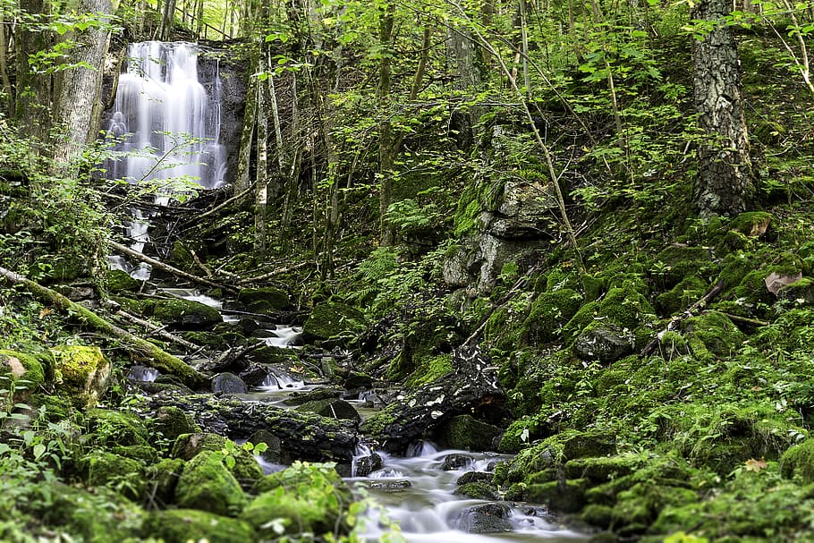 cascate, circondato, alberi, cascata, ambiente, flusso, foresta, idilliaco, paesaggio, muschio, rocce muschiose, movimento, naturale, natura, fotografia naturalistica, tranquillo, calmo, piante, rocce, panoramico, pietre, ruscello, ramoscelli, acqua, natura selvaggia, boschi, albero, pianta, acqua corrente, terra, lunga esposizione, scenics - natura, crescita, colore verde, bellezza nella natura, movimento sfocato, fluente, giorno, roccia, nessuno, all'aperto, foresta pluviale, flusso - acqua che scorre, potere in natura, 5K