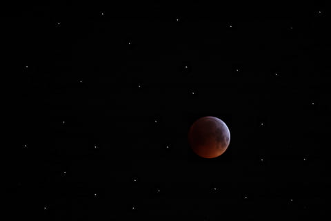 planeta branco, lua, noite, natureza, ao ar livre, Eclipse lunar, eclipse, astronomia, espaço sideral, universo, espaço, cysoing, França, Estrela, fotografia, fotógrafo, foto, fotos, lua de sangue, sangue, céu, estrela - espaço, beleza na natureza, scenics - natureza, tranquilidade, idílico, cor laranja, planeta - espaço, lua cheia, ninguém, forma, círculo, forma geométrica, fenómeno natural, astrologia, 5K, CC0, domínio público, royalty free