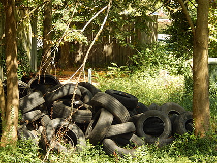 tires, trees, dump, trash, environmental, hazards, rubber, vulcanized, refuse, plant, tree, nature, day, land, wheel, transportation, field, mode of transportation, abandoned, tire, obsolete, grass, no people, damaged, agricultural equipment, growth, land vehicle, outdoors, sunlight, deterioration, junkyard, 4K, CC0, public domain, royalty free