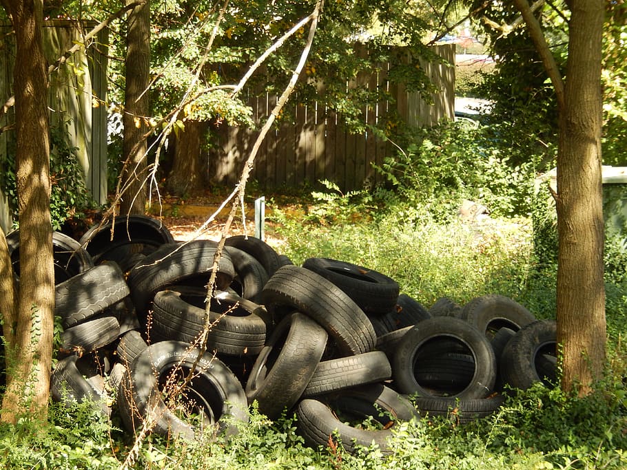 pneumàtics, arbres, bolcar, escombraries, ambiental, riscos, goma d'esborrar, vulcanitzat, rebutjar, planta, arbre, naturalesa, dia, terra, roda, transport, camp, manera de transport, abandonat, pneumàtic, obsoleta, herba, cap gent, espatllat, equipament agrícola, creixement, vehicle terrestre, a l'aire lliure, llum solar, deteriorament, desguàs, 4K