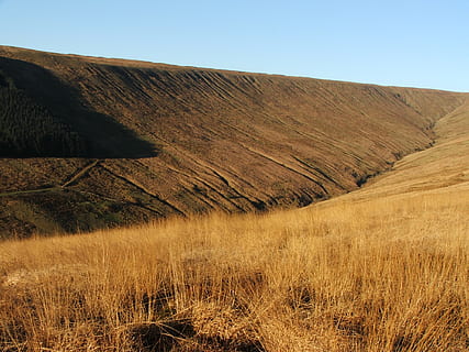 paesaggio di prati marroni, nuvole, luce del giorno, giorno, ambiente, erba, prateria, collina, paesaggio, natura, panoramico, cielo, pianta, terra, bellezza nella natura, scenics - natura, la tranquillità, scena tranquilla, nessuno, scena non urbana, albero, campo, scena rurale, cielo sereno, crescita, all'aperto, paesaggio ondulato, condizione naturale, 1080P, CC0, dominio pubblico, privo di copyright