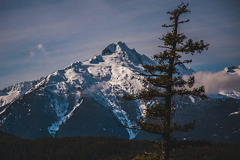 gunung yang tertutup salju, petualangan, awan, dingin, konifer, siang hari, kabut, bukit, pemandangan, gunung, alam, di luar rumah, indah, langit, salju, perjalanan, pohon, lembah, gunung berapi, musim dingin, suhu dingin, scenics - alam, keindahan di alam, gunung berselimut salju, awan - langit, pegunungan, menanam, lingkungan Hidup, ketenangan, adegan yang tenang, tidak ada orang, puncak gunung, pohon jenis konifera, pohon pinus, pembentukan, 4K, CC0, domain publik, bebas royalti