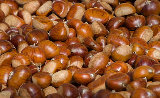 castane, cădea, castan, fruct, recolta, mancare si bautura, grup mare de obiecte, castan - alimente, bunăstare, alimente, maro, prospeţime, abundenţă, mâncat sănătos, piuliță - mâncare, fundaluri, cadru complet, nuca, natură moartă, a închide, nici o persoana, vedere în unghi mare, alună, cu amănuntul, 5K, CC0, domeniu public, fără drepturi de autor
