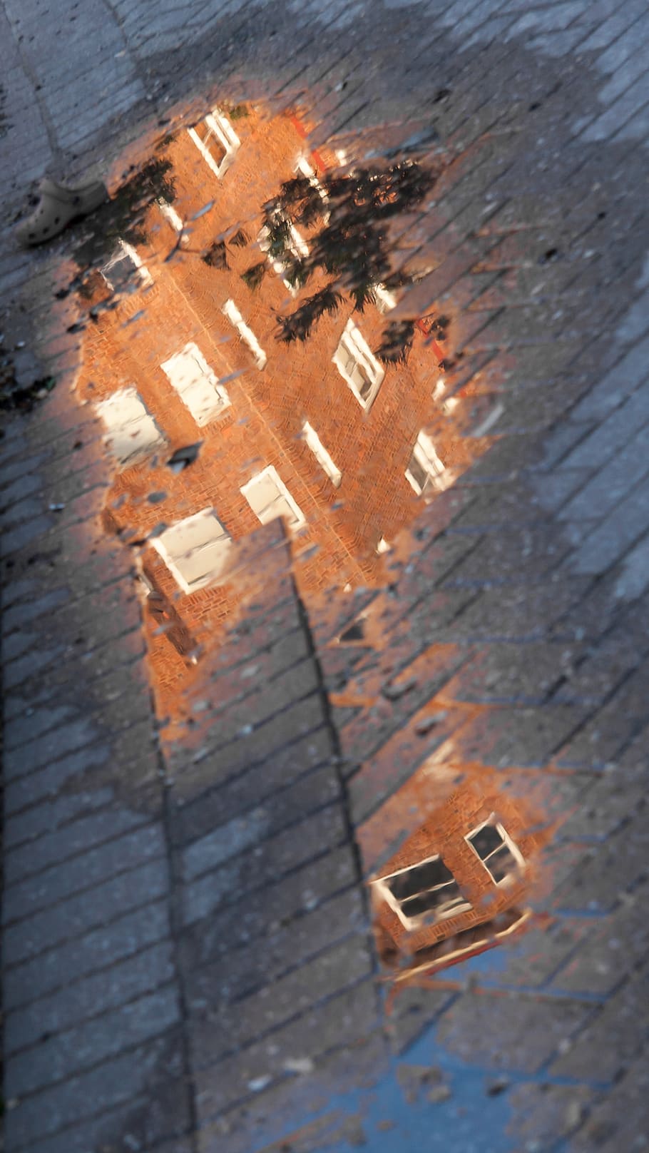 Australia, varonil, reflexiones, reflexión, casa, calle, paleta, paisaje urbano, agua, viaje, fotoholgico, sydney, paletas, arquitectura, exterior del edificio, vista de alto ángulo, estructura construida, ciudad, edificio, nadie, día, al aire libre, charco, naturaleza, inclinación, Distrito residencial, mojado, luz del sol, techo, ladrillo, 2K