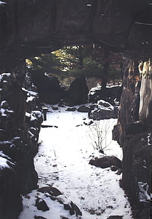winter, grot, pad, sneeuw, bossen, rotsen, rots, Minnesota, boom, koude temperatuur, natuur, geen mensen, fabriek, dag, buitenshuis, boomstam, Bos, romp, kalmte, land-, schoonheid in de natuur, solide, water, rock - object, stromend water, 4K, CC0, publiek domein, royaltyvrij