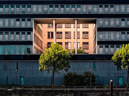 arquitectura, duisburg, finestra, rectangular, façana, edifici, exterior de l'edifici, estructura construïda, planta, cap gent, ciutat, dia, arbre, vidre - material, naturalesa, modern, reflexió, a l'aire lliure, oficina, creixement, exterior d’edifici d’oficines, marc complet, barri residencial, 4K, CC0, domini públic, lliure de regalies