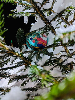 pallina verde acqua, albero, pianta, sfera, abies, abete, uccello, animale, Russia, L'gov, strada senza nome, conifera, abete rosso, spazio, universo, astronomia, pino, pianeta, insetto, Andrena, celebrazione, Natale, vacanza, decorazione, vacanza - evento, decorazione natalizia, albero di Natale, ornamento di Natale, ramo, sospeso, nessuno, avvicinamento, messa a fuoco selettiva, giorno, multicolore, natura, all'aperto, 4K, CC0, dominio pubblico, privo di copyright