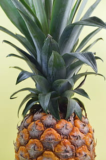 nanas, pencuci mulut, hidangan pembuka, buah, jus, tanaman, makan sehat, tidak ada orang, makanan, makanan dan minuman, merapatkan, buah tropis, pertumbuhan, kesejahteraan, warna hijau, menanam, daun, bagian tanaman, alam, kesegaran, dalam ruangan, keindahan di alam, hari, 5K, CC0, domain publik, bebas royalti
