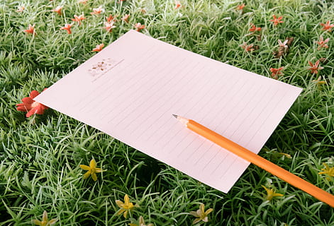 herba, verd, naturalesa, notes, paper, llapis, escriure, diari, planta, color verd, vista d’angle alt, llibre, publicació, cap gent, terra, primer pla, dia, camp, pàgina, creixement, bloc de notes, en blanc, a l'aire lliure, flor, 4K, CC0, domini públic, lliure de regalies