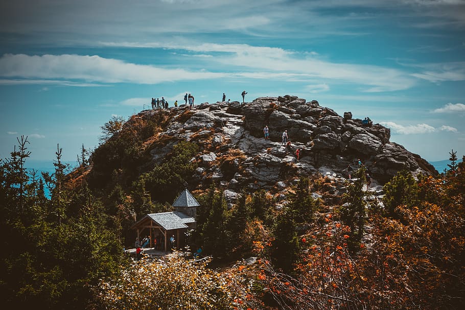 montagna di roccia, luce del giorno, foresta, erba, verde, paesaggio, montagna, natura, parco, persone, rocce, panoramico, cielo, alberi, boschi, albero, nuvola - cielo, pianta, crescita, bellezza nella natura, nessuno, giorno, all'aperto, architettura, struttura costruita, scenics - natura, terra, scena tranquilla, la tranquillità, costruzione, roccia - oggetto, luce del sole, roccia, 4K
