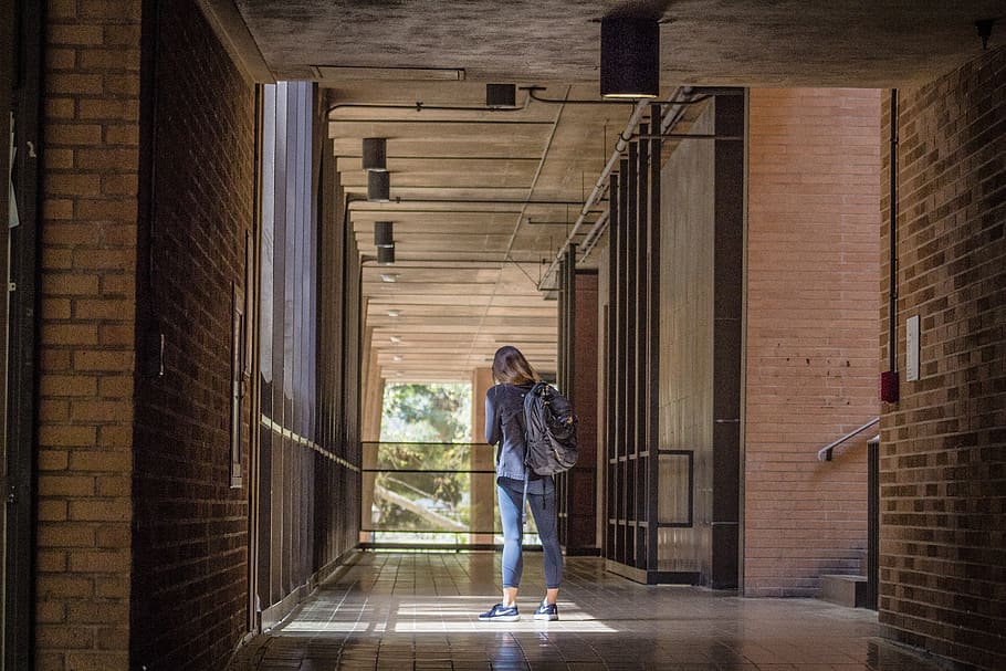 ucla, universitat, biblioteca, maó, Amèrica, escola, antiguitat, pati d’escola, noia, dona, de peu, fora, llum, longitud completa, una persona, arquitectura, adult, dones, estructura construïda, activitat d'oci, edifici, persones reals, roba casual, estils de vida, adult jove, dones joves, paret de maó, caminar, exterior de l'edifici, dia, pentinat, 2K
