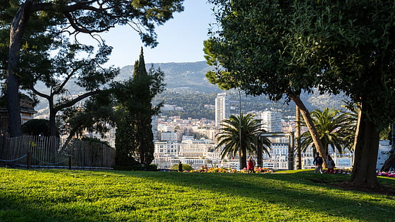 monaco, arbres, arbre, planta, herba, arquitectura, estructura construïda, naturalesa, exterior de l'edifici, creixement, color verd, dia, llum solar, edifici, parc, ciutat, a l'aire lliure, terra, camp, cel, aigua, cap gent, 5K, CC0, domini públic, lliure de regalies