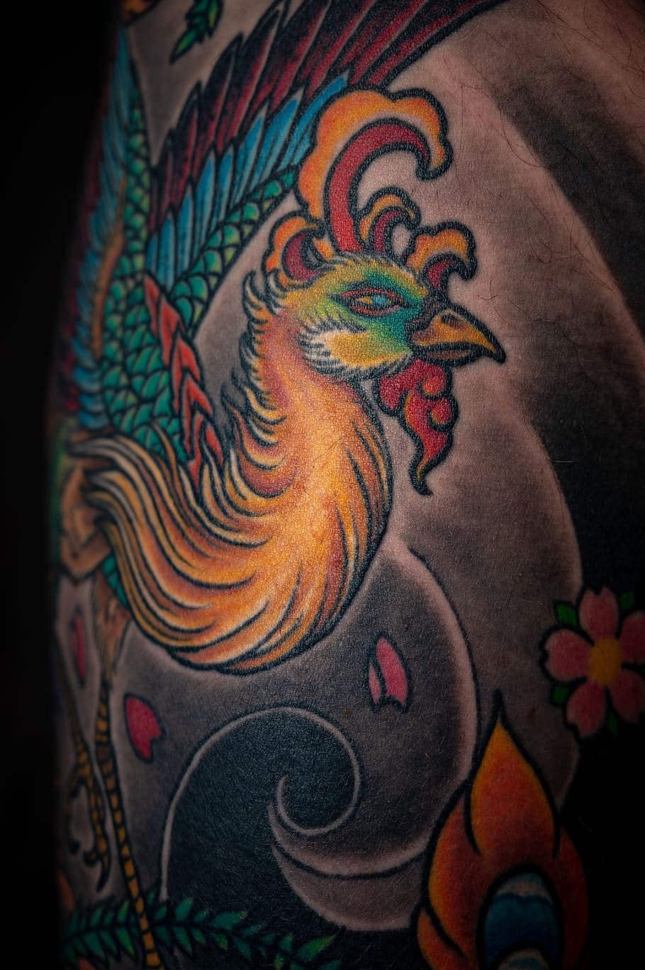 tatuaggio del braccio di pavone, braccio, arte, artistico, avvicinamento, colore, colorato, creativo, creatività, decorazione, design, modello, pelle, simbolo, tatuaggio, struttura, multicolore, arte e artigianato, nessuno, in casa, fotogramma intero, motivo floreale, sfondi, rappresentazione, mestiere, natura morta, tessile, ornato, rappresentazione umana, astratto, 5K