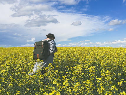 sunny, cloudy, space, open, field, albertum, wander, cute, grey, yellow, backpack, vintum, fashion, cool, hip, hipster, somewhere, going, explore, beauty, one person, beauty in nature, land, growth, real people, sky, oilseed rape, cloud - sky, agriculture, flower, plant, nature, rear view, landscape, scenics - nature, rural scene, flowering plant, environment, farm, outdoors, 2K, CC0, public domain, royalty free