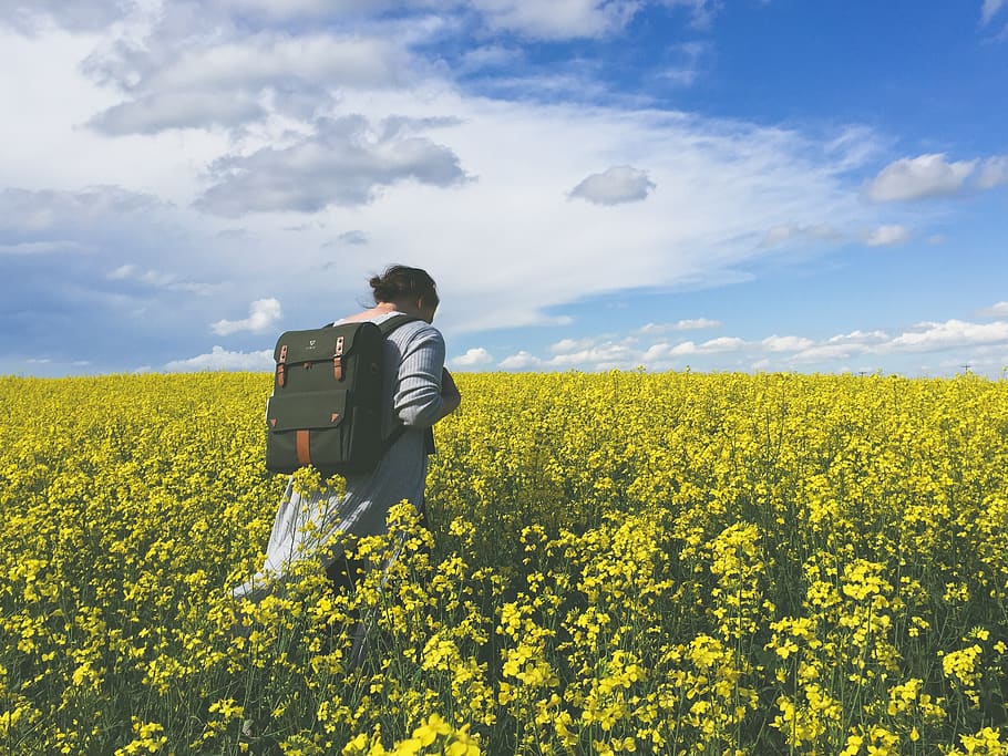 assolellat, ennuvolat, espai, obert, camp, alberta, vagar, bonic, gris, groc, motxilla, vintum, moda, guai, maluc, hipster, en algun lloc, anar, explorar, bellesa, una persona, bellesa a la natura, terra, creixement, persones reals, cel, colza, núvol - cel, agricultura, flor, planta, naturalesa, vista del darrere, paisatge, escenics - natura, escena rural, planta amb flors, medi ambient, granja, a l'aire lliure, 2K