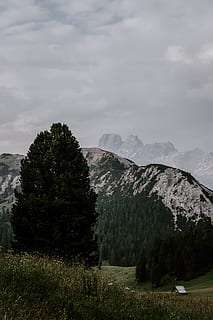albero di pino verde, montagna, cresta, albero, nuvoloso, verde, carta da parati android, sfondo, estate, paesaggio, natura, Paesaggi, all'aperto, prato, erba, foresta, Alpi europee, picco di montagna, cielo, nuvola - cielo, colore verde, collina, catena montuosa, bellezza nella natura, valle, nessuno, 5K, CC0, dominio pubblico, privo di copyright