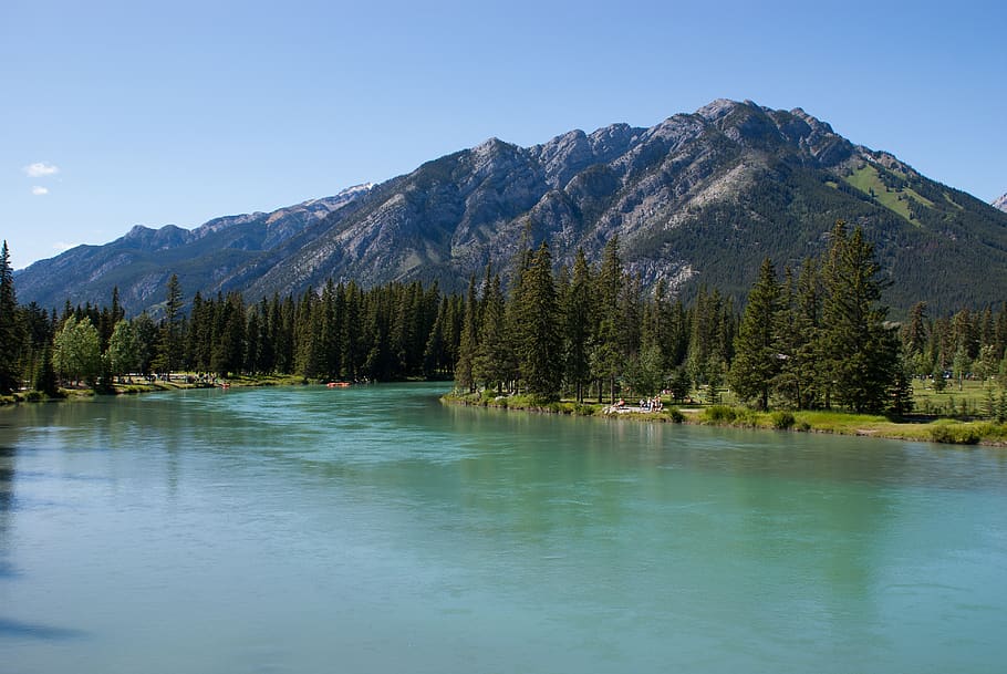 banff, alberta, Canadà, paisatge, llac, aigua, parc, viatjar, muntanya, escenics - natura, bellesa a la natura, escena tranquil·la, tranquil·litat, arbre, cel, davant del mar, escena no urbana, planta, dia, reflexió, idíl·lic, cap gent, naturalesa, Serra, cel clar, a l'aire lliure, cim de muntanya, 4K
