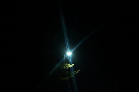 copaci, lumina slaba, ușoară, noapte, spațiu copie, lentila flacara, natură, echipamente de iluminat, lumină - fenomen natural, iluminat, Fundal negru, nici o persoana, reflector, raza de lumina, combustibil și generarea de energie electrică, întuneric, în aer liber, luminos, cer, studio shot, plantă, culoare neagră, cu laser, alimentare electrică, etapă, 4K, CC0, domeniu public, fără drepturi de autor