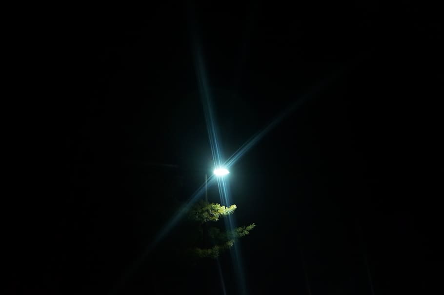 copaci, lumina slaba, ușoară, noapte, spațiu copie, lentila flacara, natură, echipamente de iluminat, lumină - fenomen natural, iluminat, Fundal negru, nici o persoana, reflector, raza de lumina, combustibil și generarea de energie electrică, întuneric, în aer liber, luminos, cer, studio shot, plantă, culoare neagră, cu laser, alimentare electrică, etapă, 4K